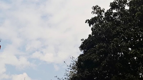 सावधान! झारखंड में बदला मौसम का मिजाज, अगले दो दिन बढ़ेगी सर्दी