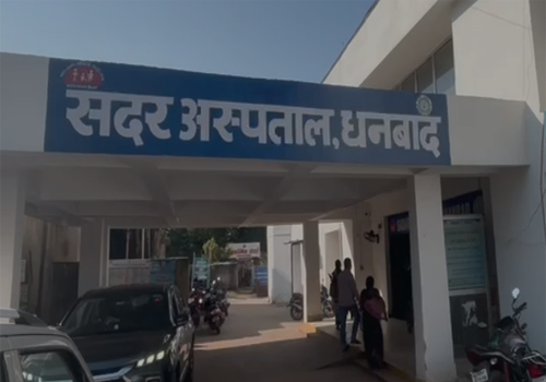 धनबाद में बंदरों का कहर, एक हफ्ते में 56 से ज्यादा लोग घायल