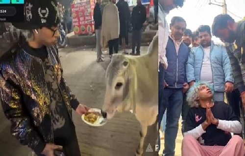 गुरुग्राम में गाय को चिकन मोमोज खिलाने वाला यूट्यूबर गिरफ्तार, सोशल मीडिया की अंधी दौड़ ने बढ़ाई परेशानी