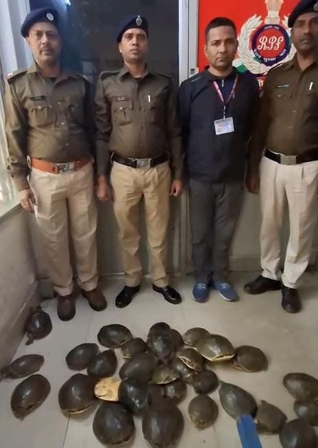 RPF ने बरामद किए 35 जीवित कछुए, वन्यजीव तस्करी पर बड़ी कार्रवाई