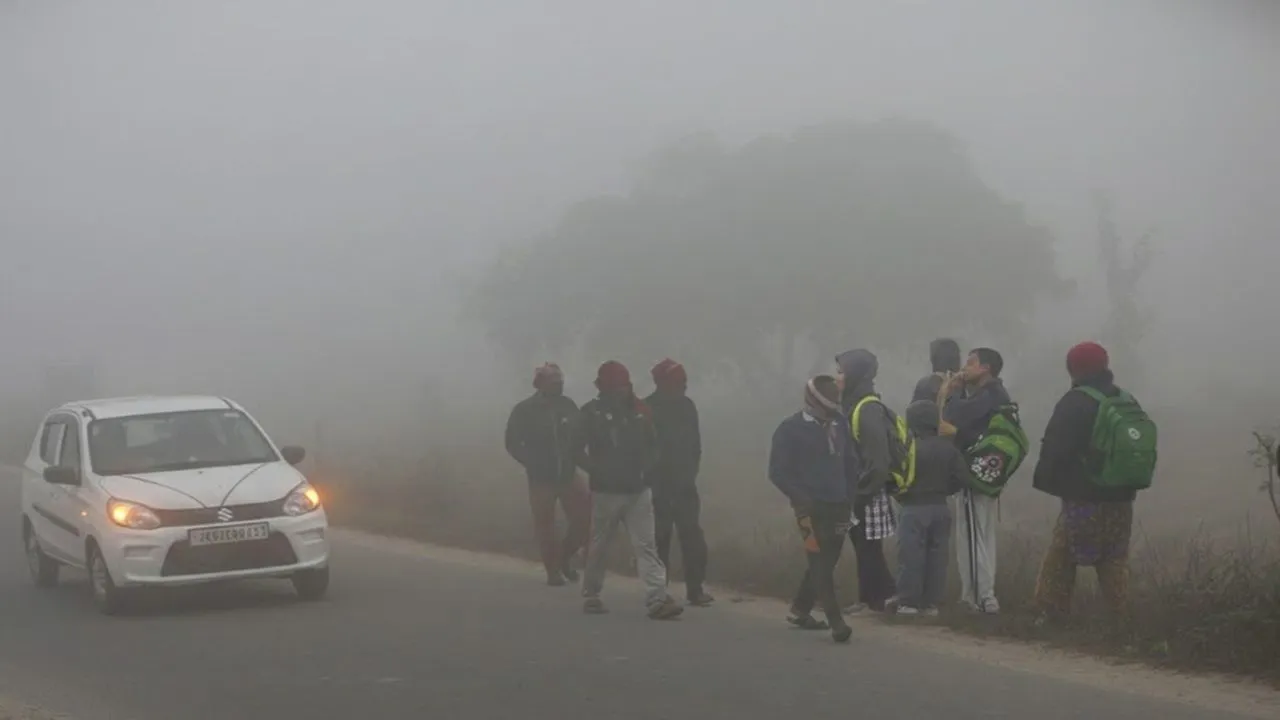 राज्य में शीतलहर का असर तेज, सुबह–शाम बढ़ी ठिठुरन